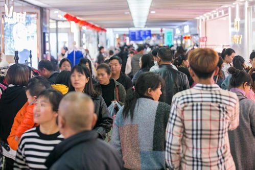 新螺螄灣未來可期 商品批發(fā)貿(mào)易的發(fā)展機(jī)遇與前景